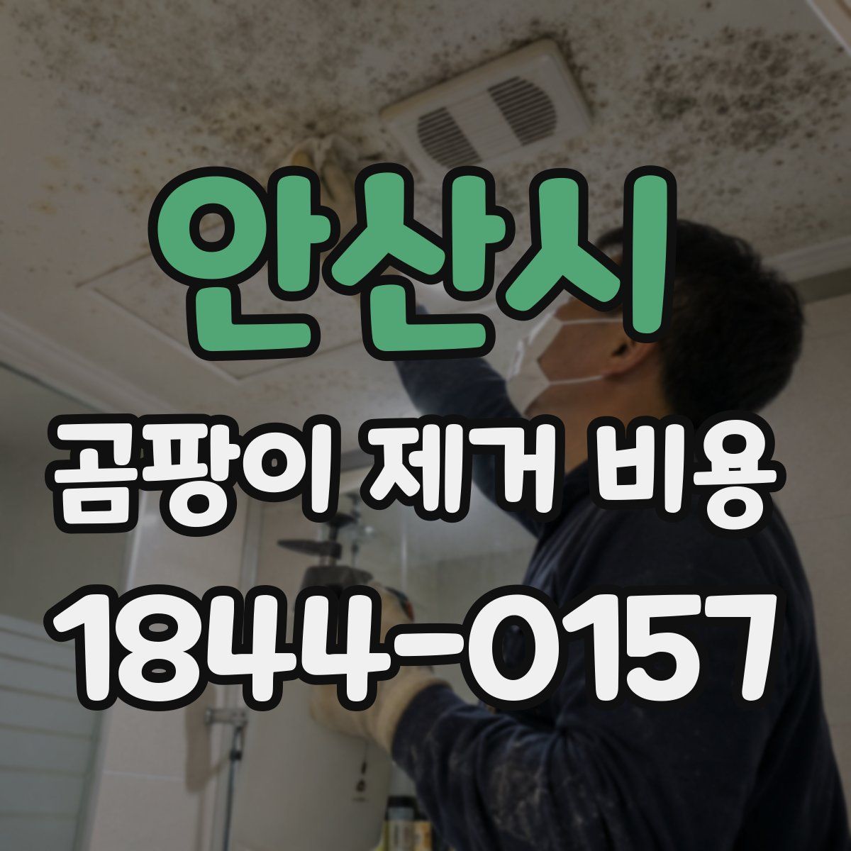 안산시 곰팡이 제거 비용