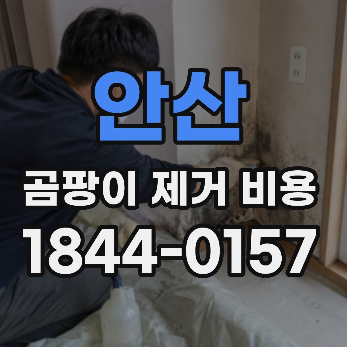 안산 곰팡이 제거 비용