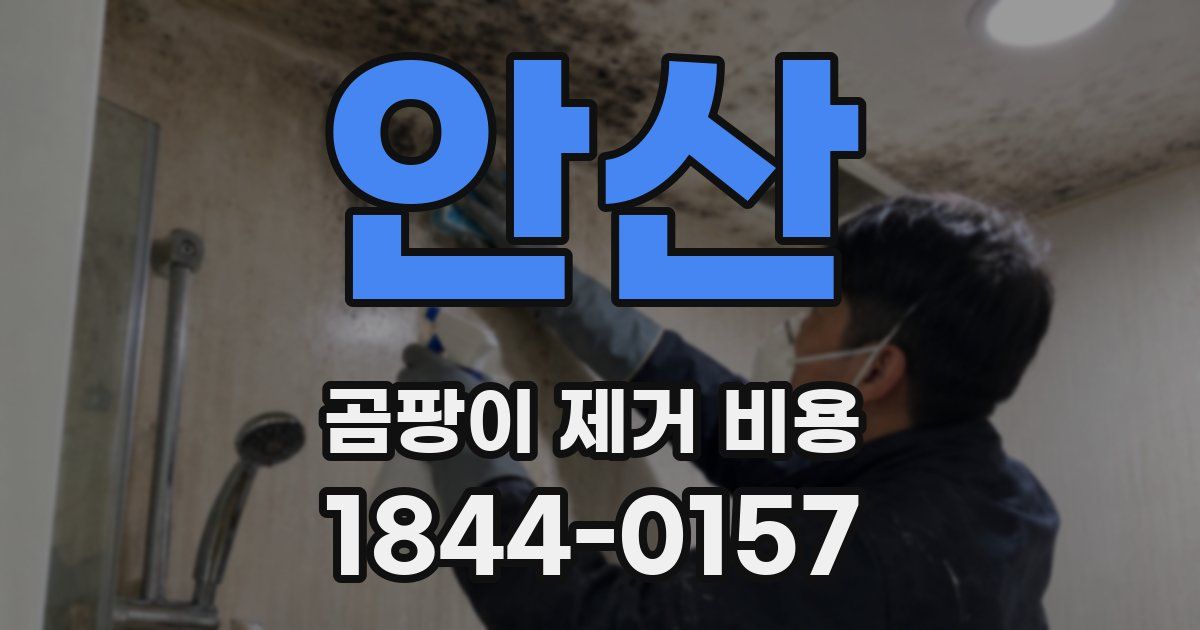 안산 곰팡이 제거 비용