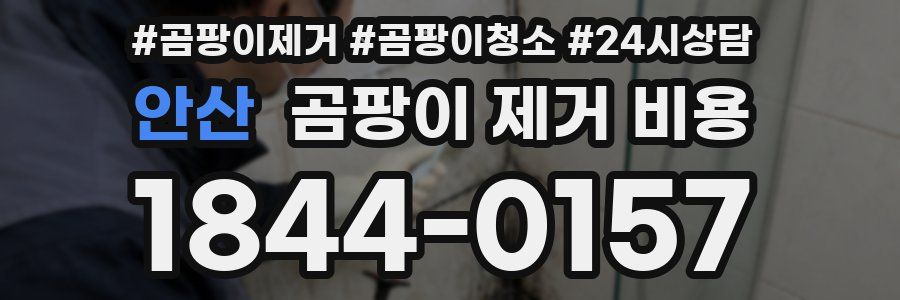 안산 곰팡이 제거 비용