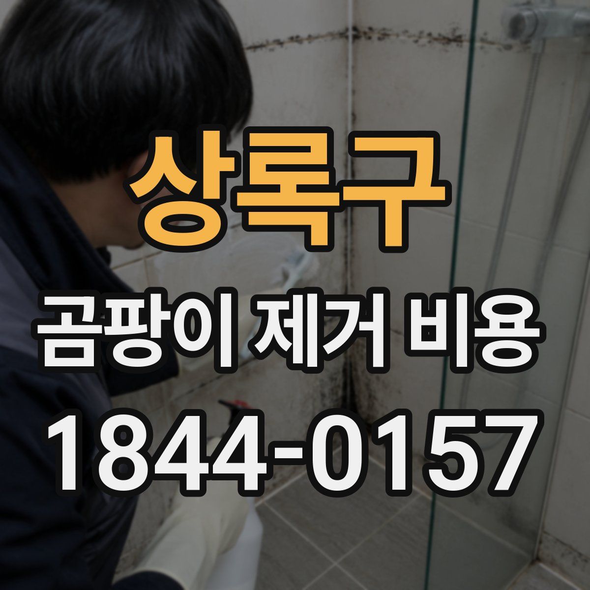 상록구 곰팡이 제거 비용