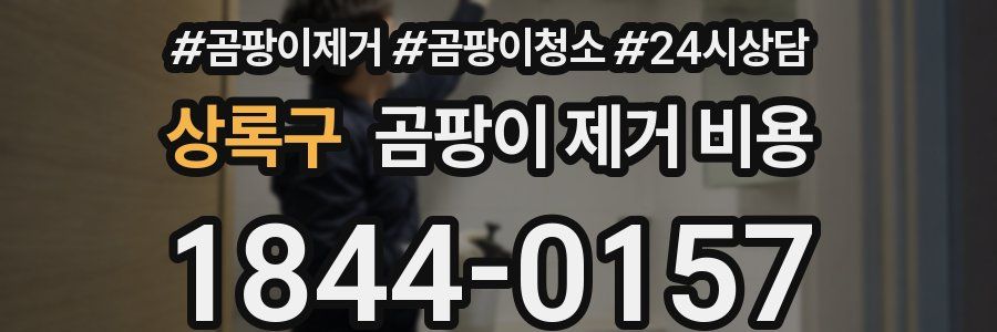 상록구 곰팡이 제거 비용