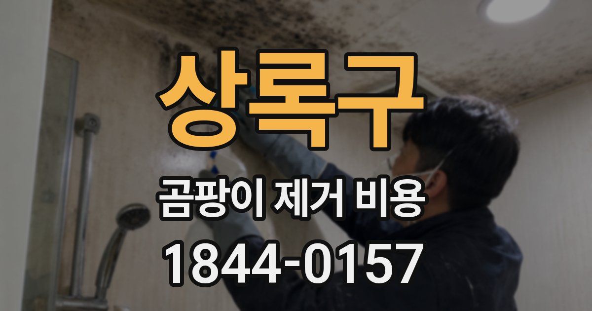 상록구 곰팡이 제거 비용