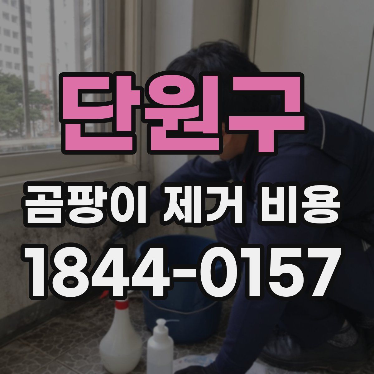 단원구 곰팡이 제거 비용