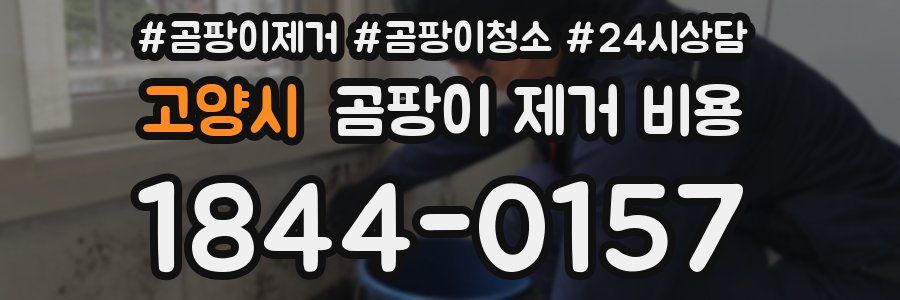 고양시 곰팡이 제거 비용