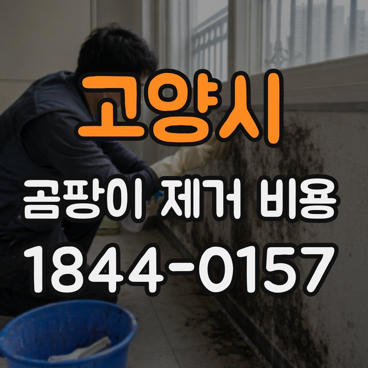 고양시 곰팡이 제거 비용