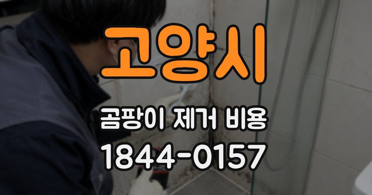 고양시 곰팡이 제거 비용