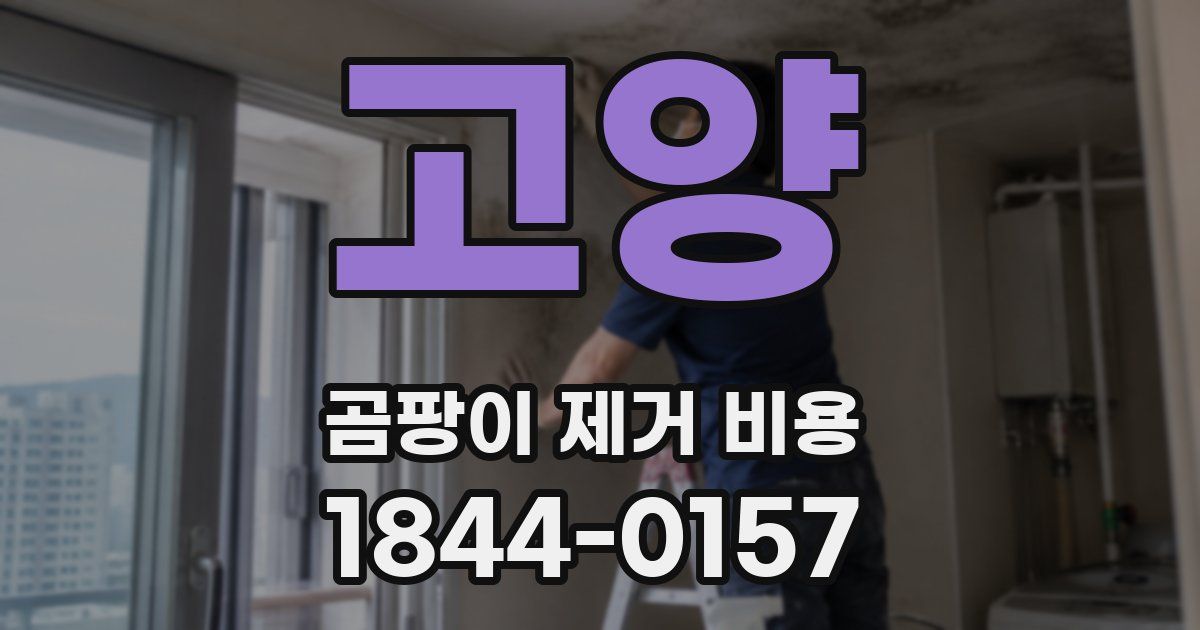 고양 곰팡이 제거 비용