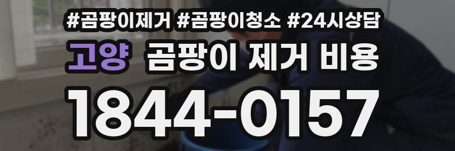 고양 곰팡이 제거 비용