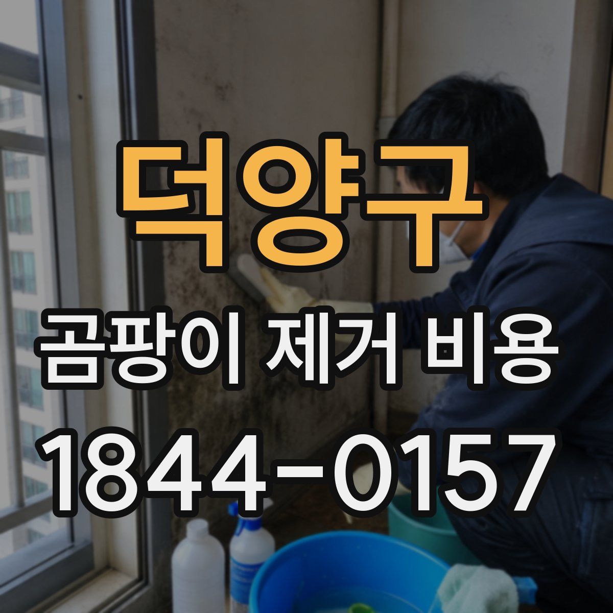 덕양구 곰팡이 제거 비용