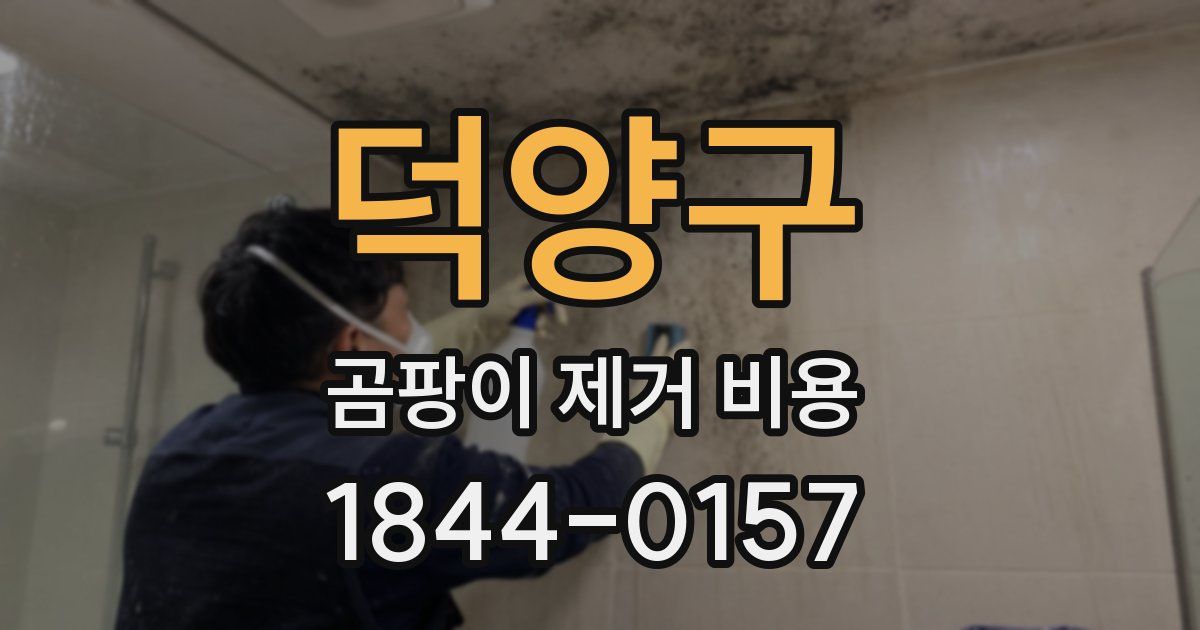 덕양구 곰팡이 제거 비용