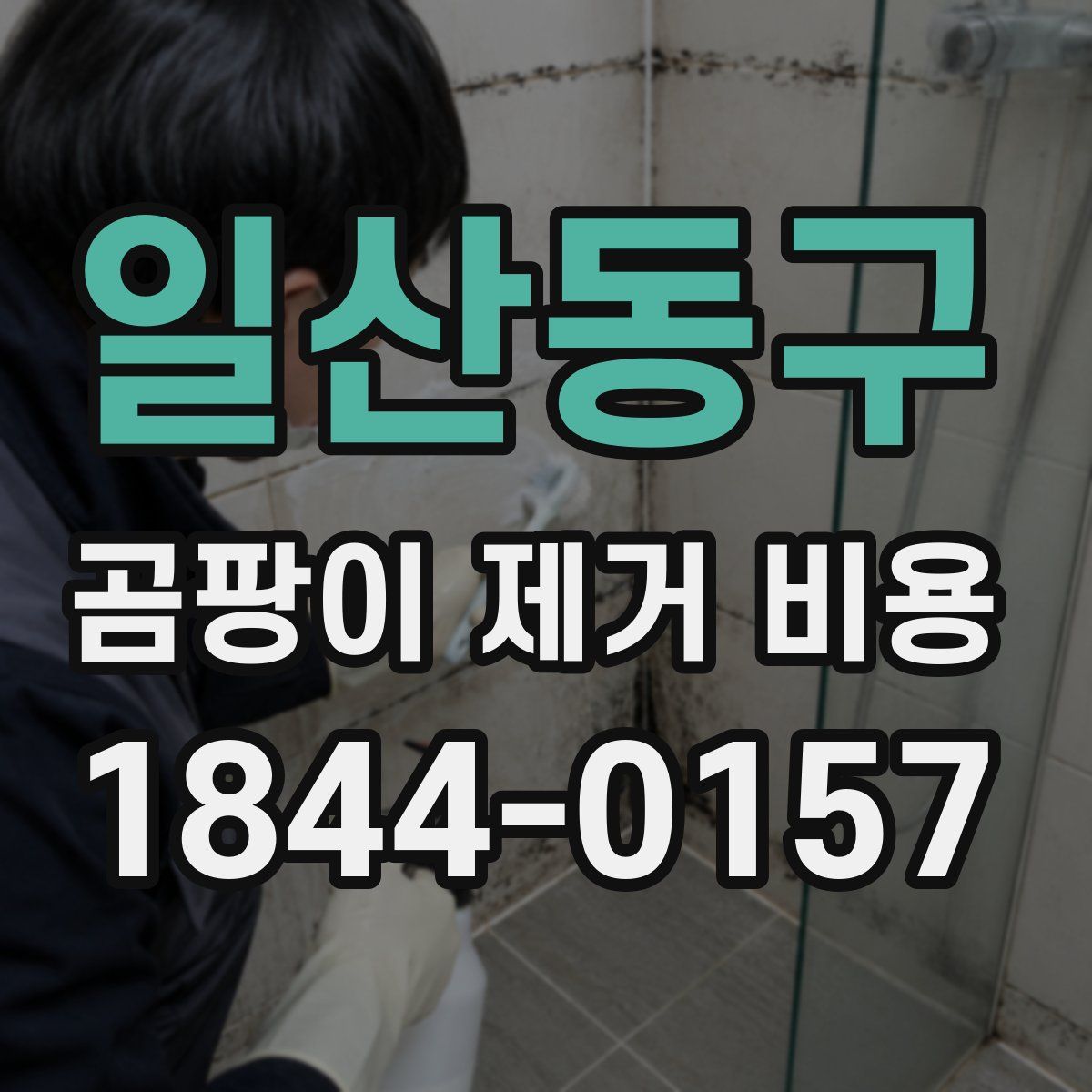 일산동구 곰팡이 제거 비용
