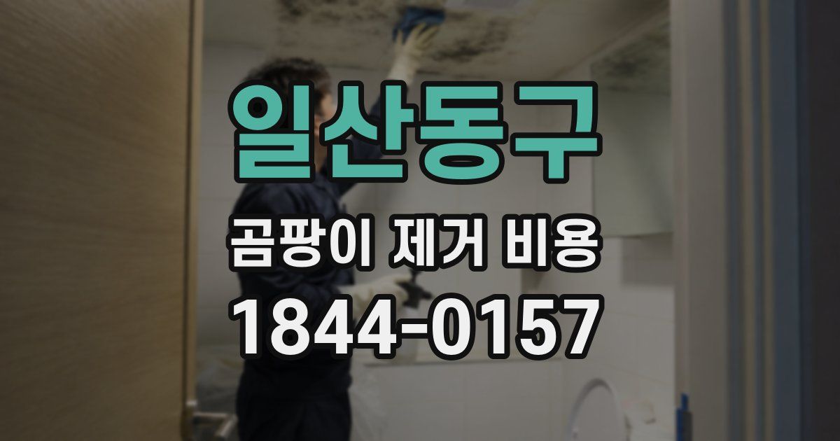 일산동구 곰팡이 제거 비용