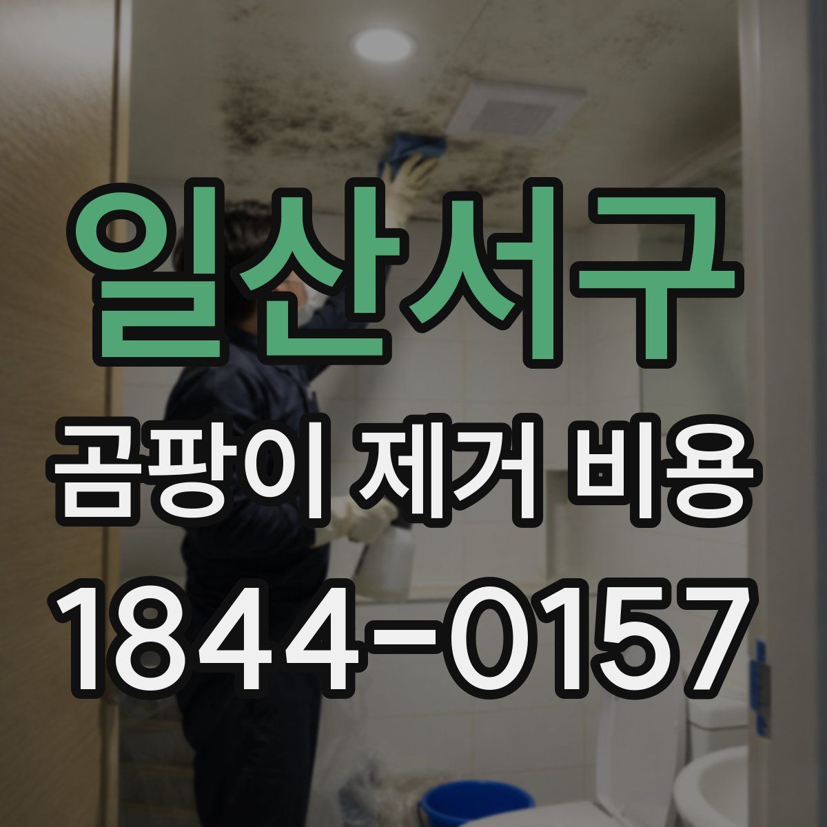 일산서구 곰팡이 제거 비용