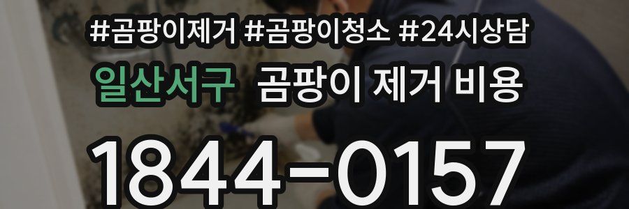 일산서구 곰팡이 제거 비용