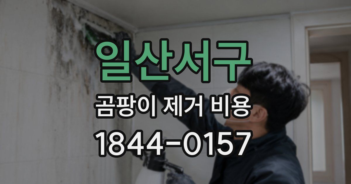 일산서구 곰팡이 제거 비용