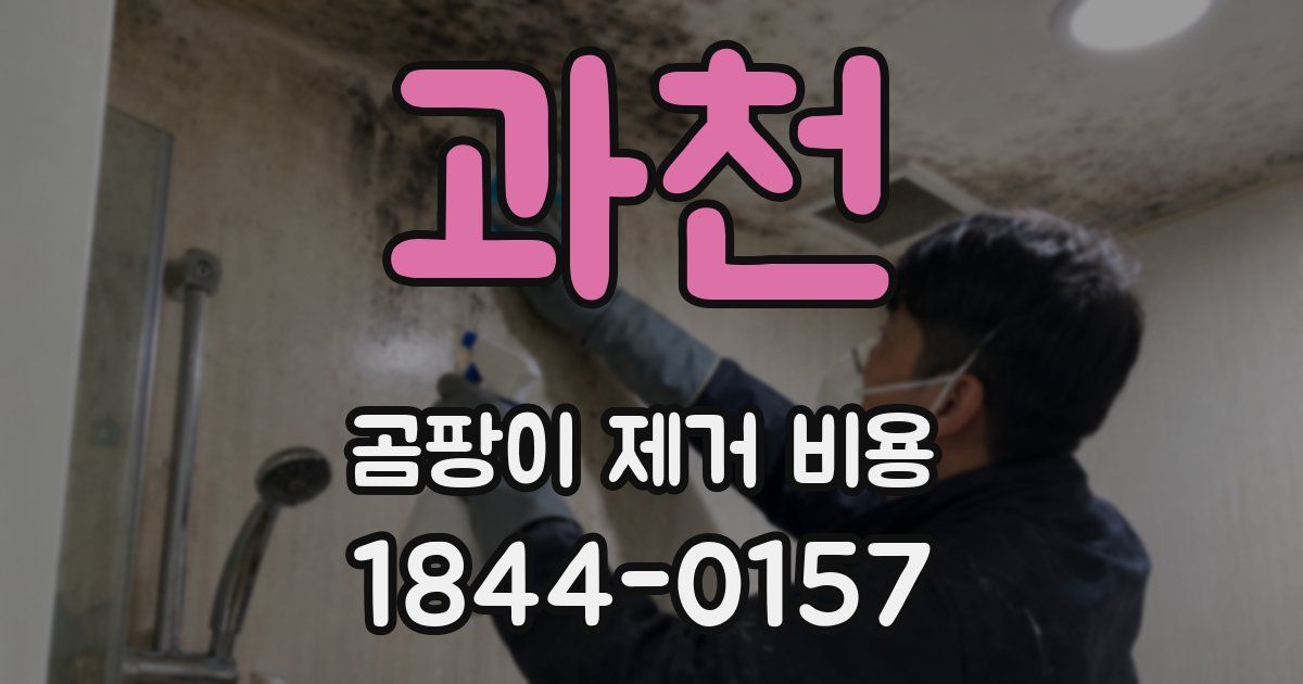 과천 곰팡이 제거 비용