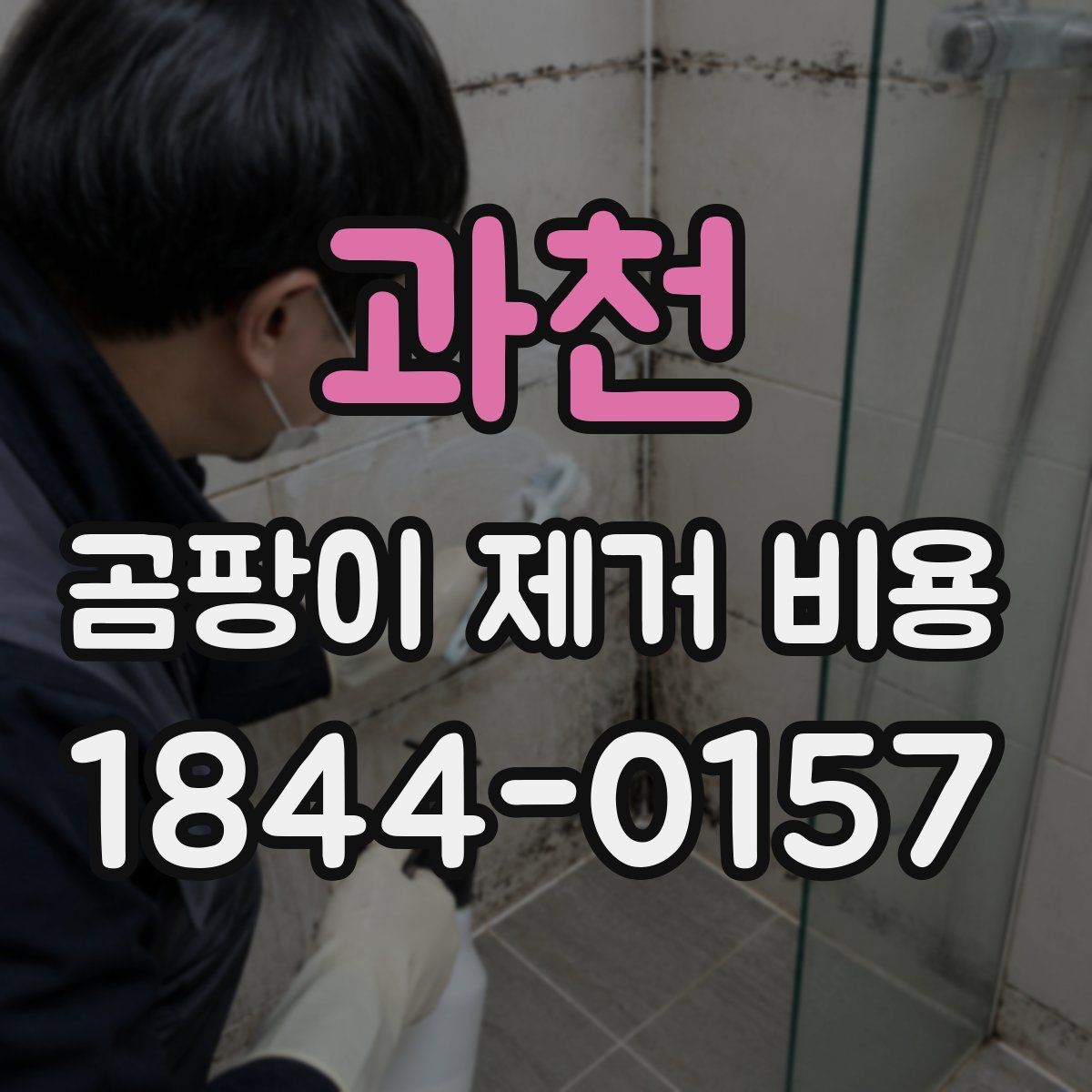 과천 곰팡이 제거 비용