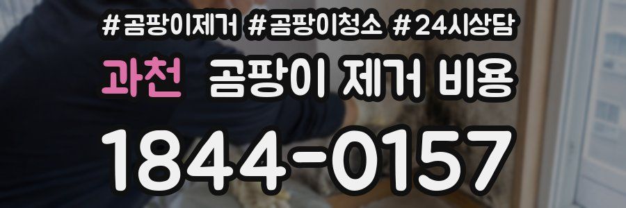 과천 곰팡이 제거 비용