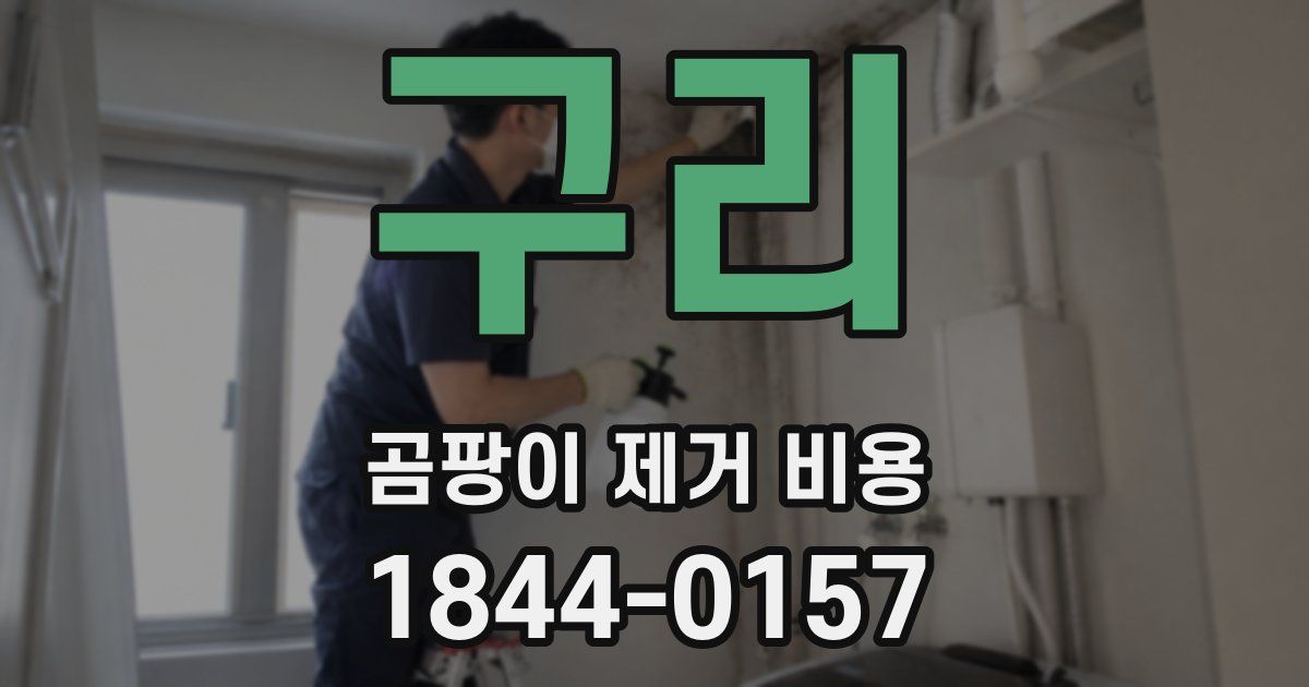 구리 곰팡이 제거 비용