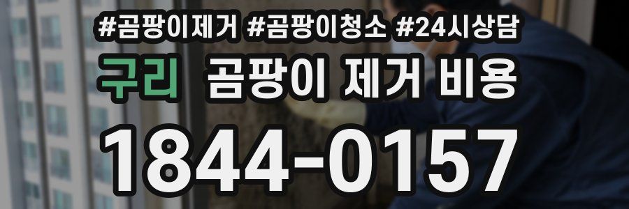 구리 곰팡이 제거 비용