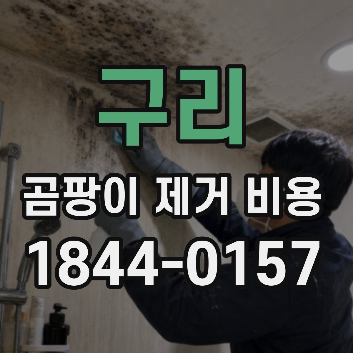 구리 곰팡이 제거 비용