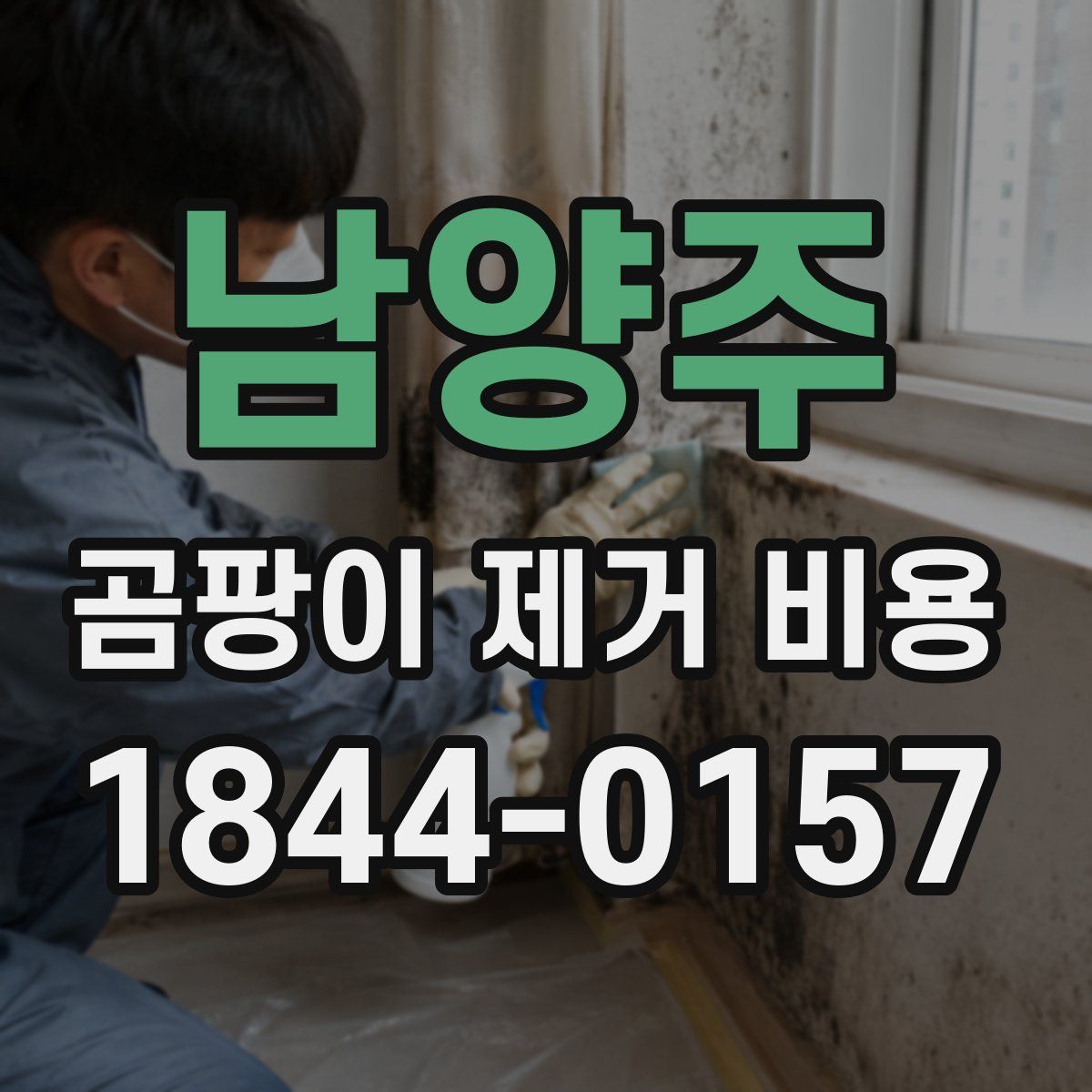 남양주 곰팡이 제거 비용