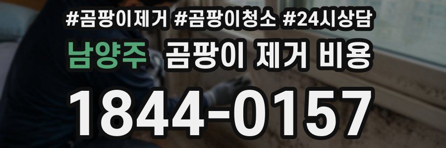 남양주 곰팡이 제거 비용