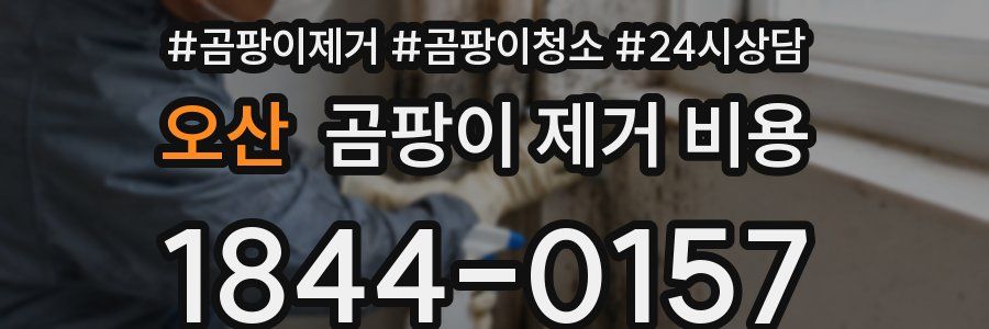 오산 곰팡이 제거 비용