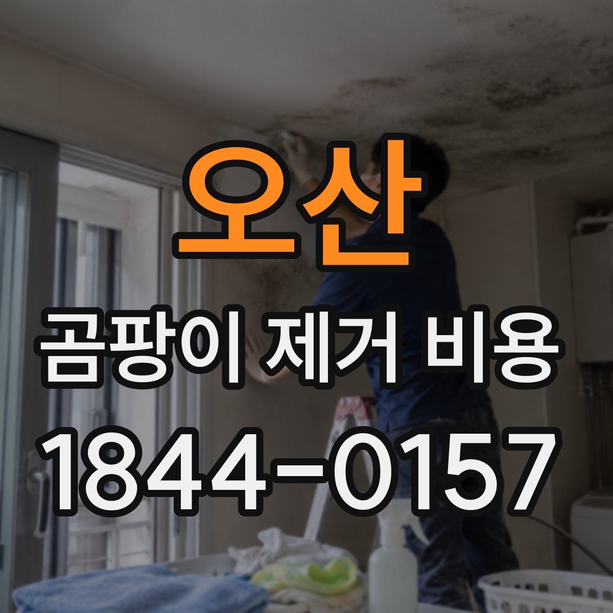 오산 곰팡이 제거 비용
