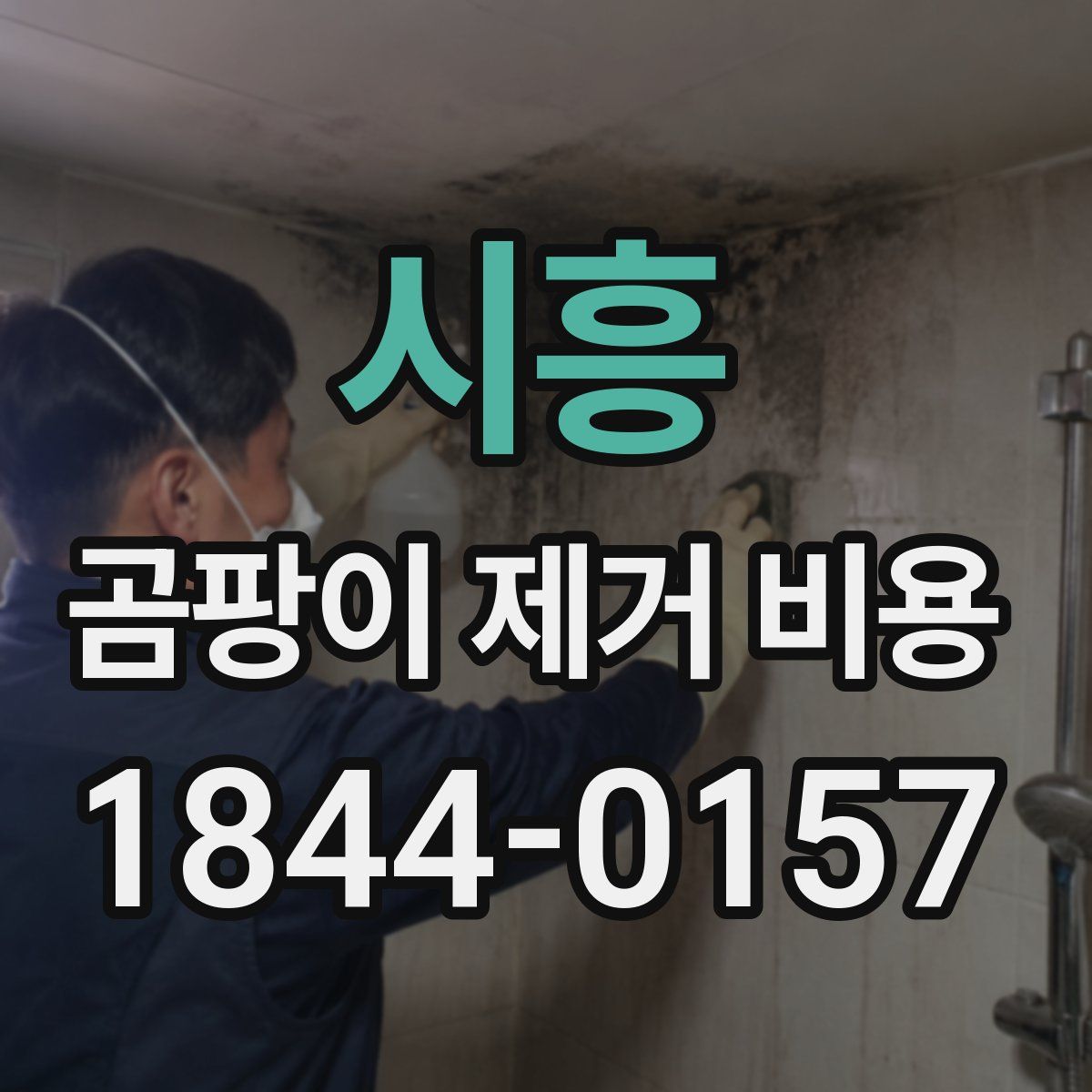 시흥 곰팡이 제거 비용