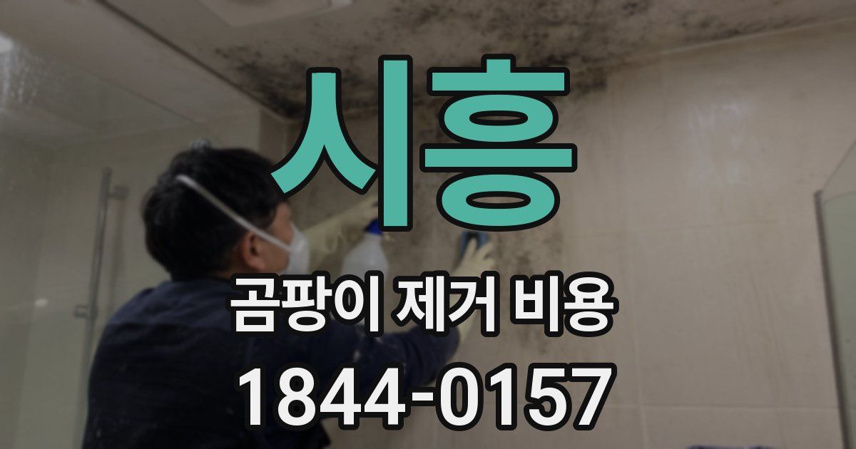 시흥 곰팡이 제거 비용