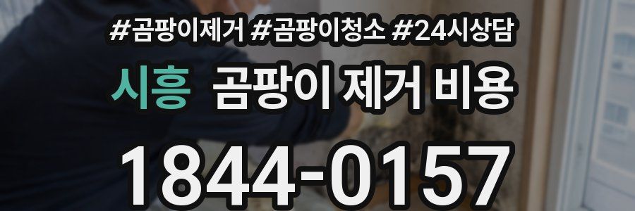 시흥 곰팡이 제거 비용