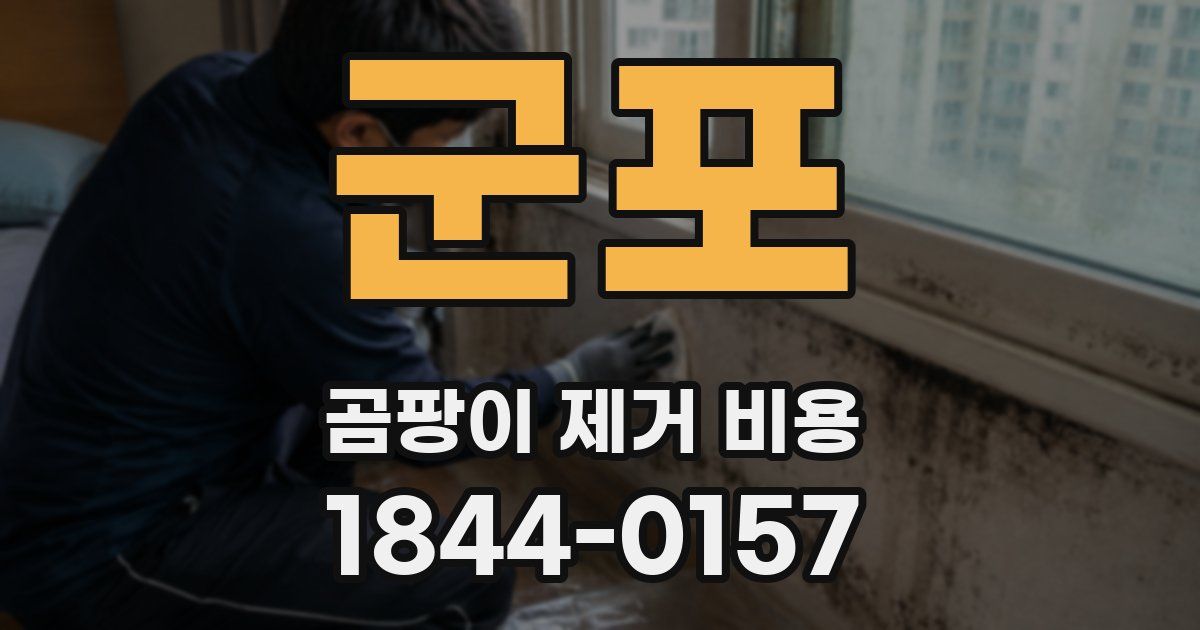 군포 곰팡이 제거 비용