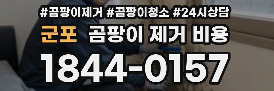 군포 곰팡이 제거 비용