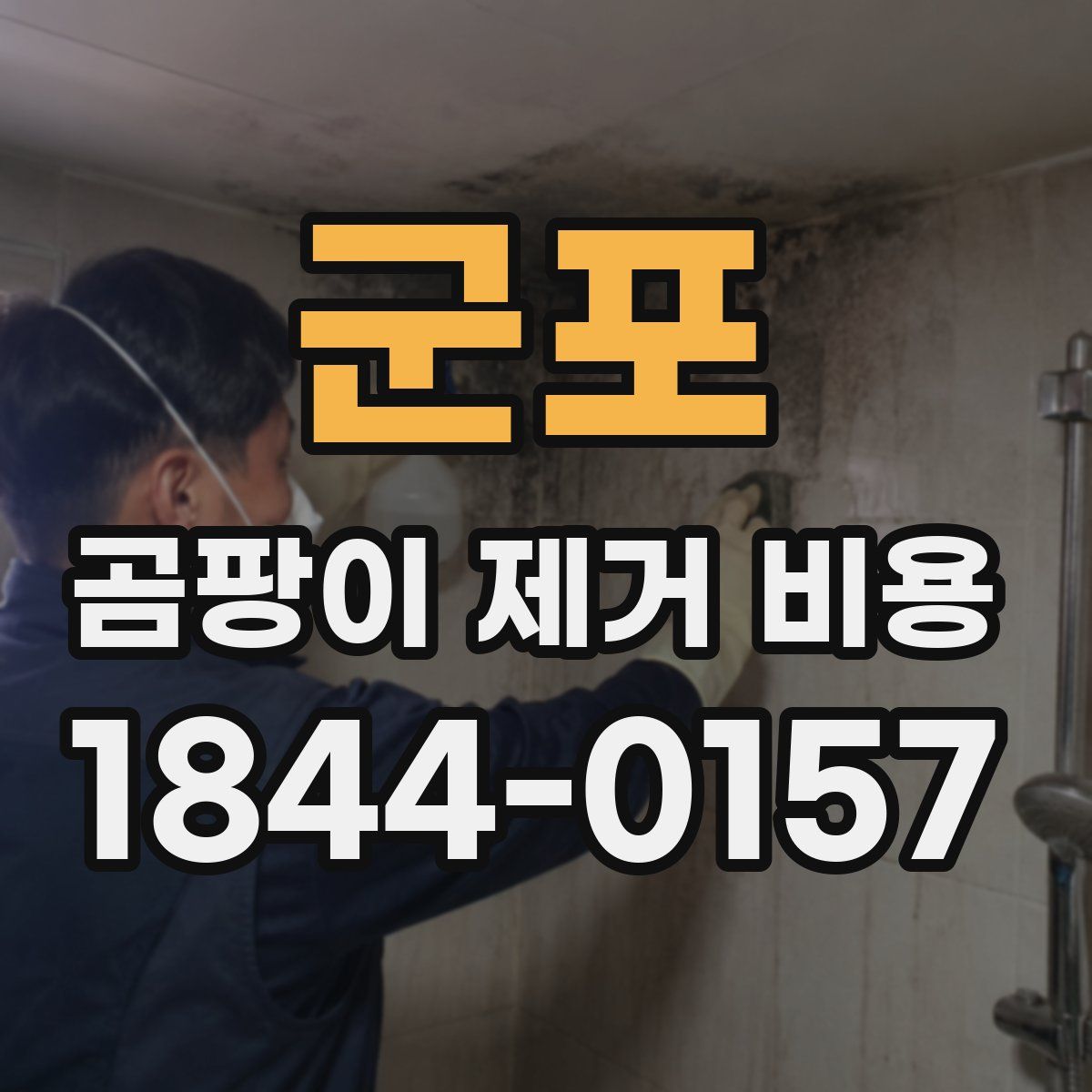 군포 곰팡이 제거 비용