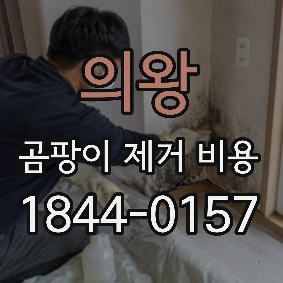 의왕 곰팡이 제거 비용 다세대 주택 배관 주변 처리가 넓어질 때