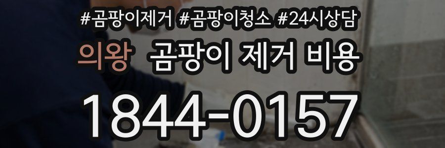 의왕 곰팡이 제거 비용