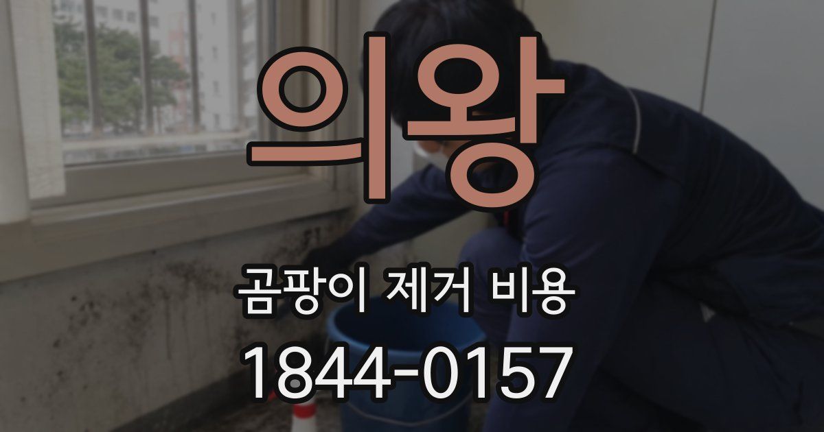 의왕 곰팡이 제거 비용