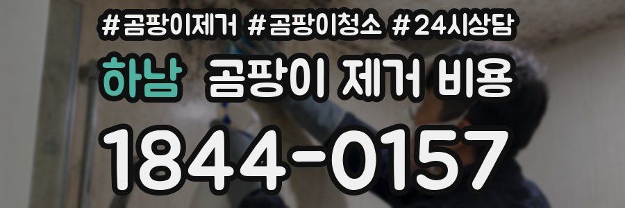 하남 곰팡이 제거 비용
