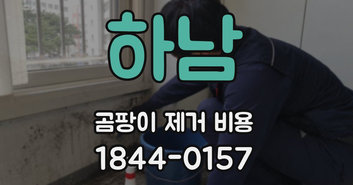 하남 곰팡이 제거 비용