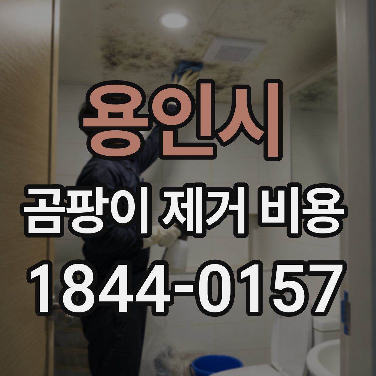 용인시 곰팡이 제거 비용 업체 상담 전 사진으로 확인할 부분