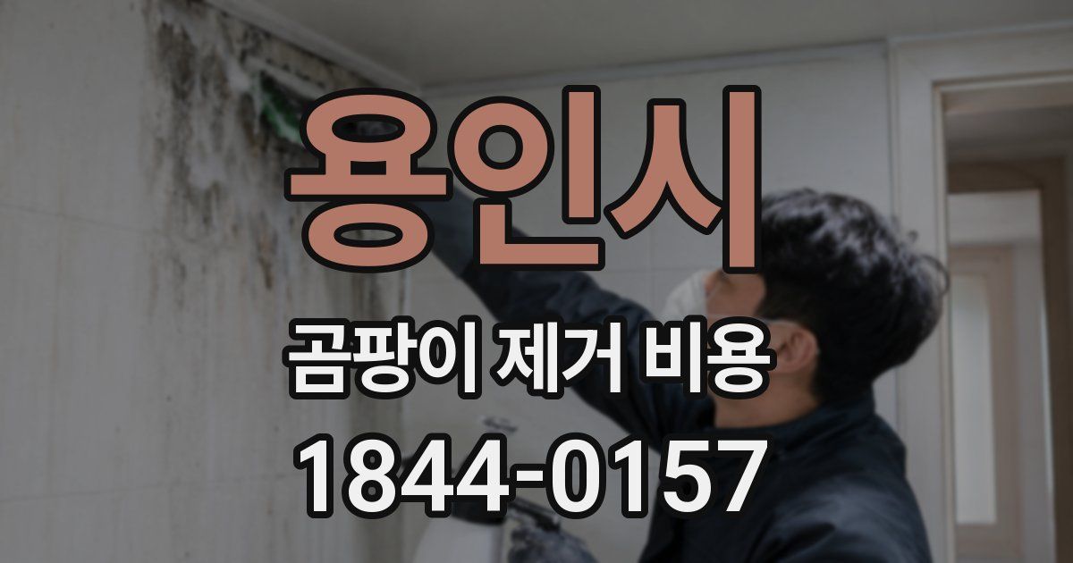 용인시 곰팡이 제거 비용