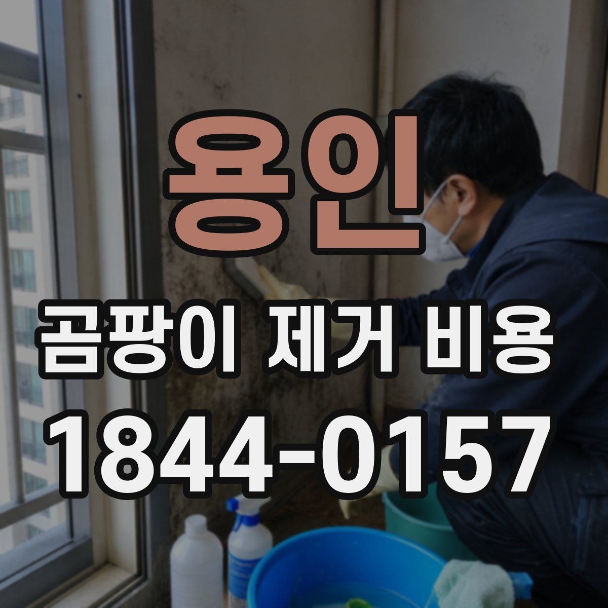 용인 곰팡이 제거 비용 업체 비교할 때 보증 규정을 확인하는 법