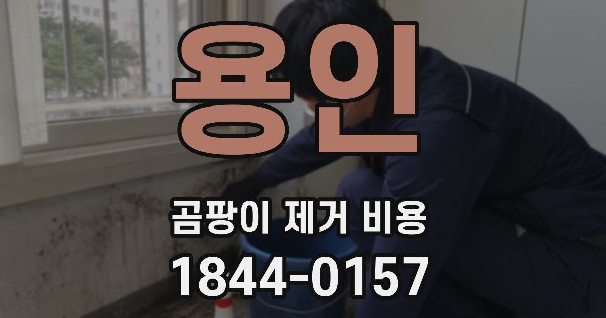 용인 곰팡이 제거 비용