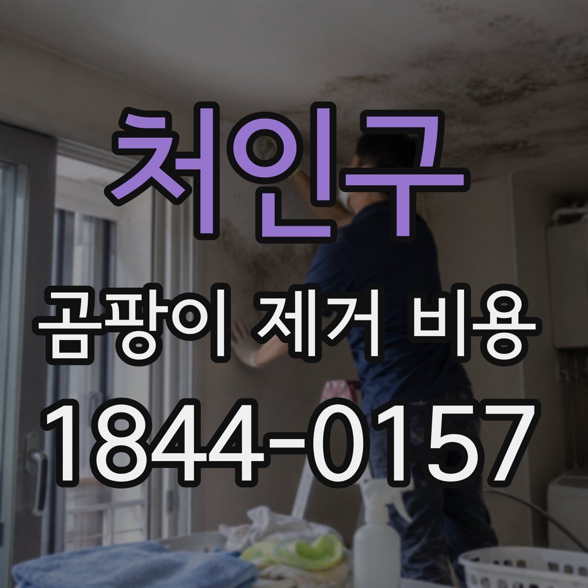 처인구 곰팡이 제거 비용 배관 주변 처리 범위를 정할 때 보는 기준