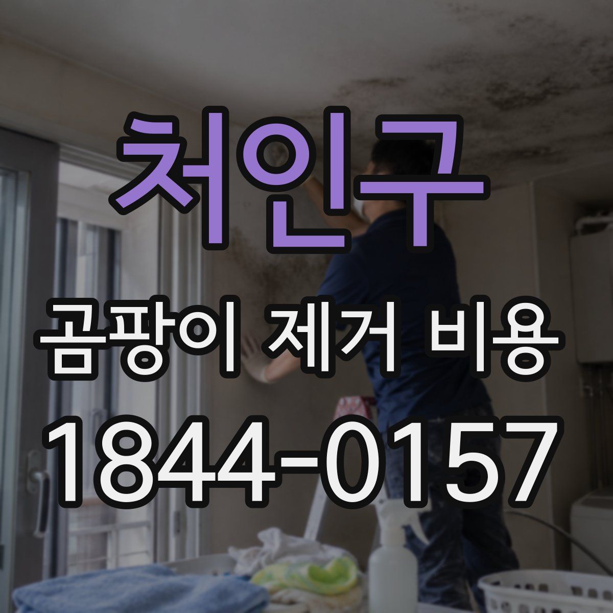 처인구 곰팡이 제거 비용