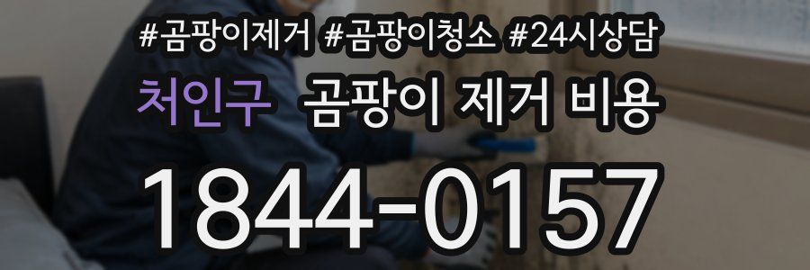 처인구 곰팡이 제거 비용