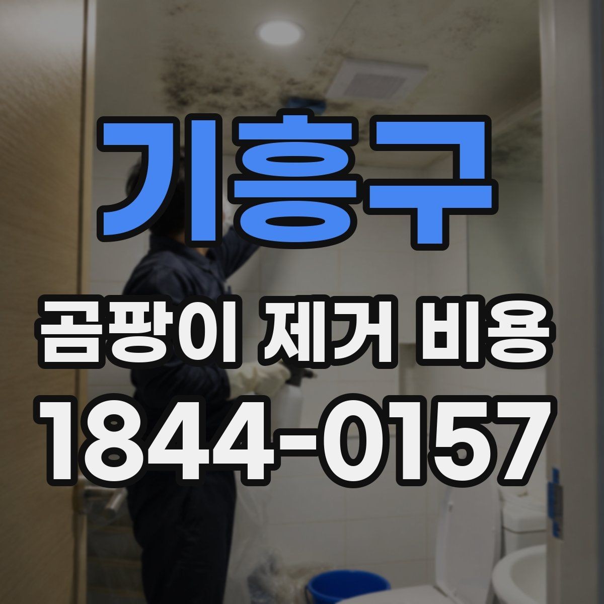 기흥구 곰팡이 제거 비용 배관 누수 주변까지 확인해야 하는 까닭