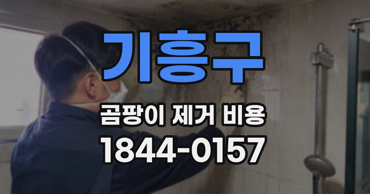 기흥구 곰팡이 제거 비용